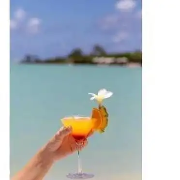 毛里求斯美食_毛里求斯美食攻略 印度咖喱 克利奥尔番茄酱